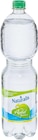 Wasser mit Geschmack im Angebot bei Netto Marken-Discount in Wermelskirchen Wasser mit Geschmack Angebote von Naturalis bei Netto Marken-Discount Wermelskirchen für 0,45 €