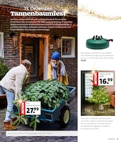 Weihnachtsbaum im Blumen Ostmann Prospekt in Aurich Aktueller Blumen Ostmann Prospekt mit Weihnachtsbaum, "WEIHNACHTS-KNALLER", Seite 8