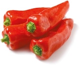 Spitzpaprika rot Angebote bei Netto mit dem Scottie Neumünster für 1,79 €