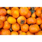 Kaki à Carrefour Market dans Lacalm Kaki à Carrefour Market dans Lacalm