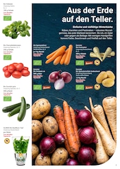 Aktueller GLOBUS Prospekt mit Zucchini, "Aktuelle Angebote", Seite 29