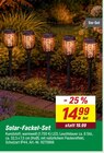 Solar-Fackel-Set Angebote bei toom Baumarkt Speyer für 14,99 €