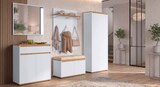 Spiegel Angebote von Carryhome bei Zurbrüggen Soest für 39,90 €