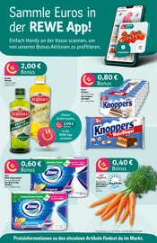 Aktueller REWE Prospekt mit Gemüse, "Dein Markt", Seite 2