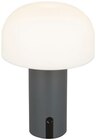 LED Tischlampe im Angebot bei REWE in Leverkusen LED Tischlampe Angebote von VIVESS bei REWE Leverkusen für 6,99 €