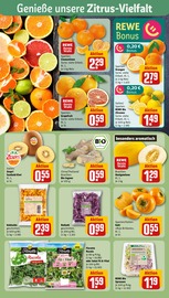 Lebensmittel im REWE Prospekt in Göttingen Aktueller REWE Prospekt mit Lebensmittel, "Dein Markt", Seite 6