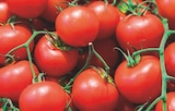 Supeco Saint-Sernin-du-Bois - Promo Tomate Grappe Promo Tomate Grappe à 1,59 € dans le catalogue Supeco à Saint-Sernin-du-Bois