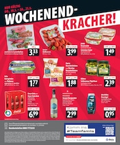 Aktueller famila Nordost Prospekt mit Coca Cola, "besser als gut!", Seite 24