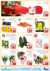 Aktueller Marktkauf Prospekt mit Pilze, "Top Angebote", Seite 5