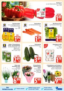 Marktkauf Prospekt der aktuellen Woche, gĂĽltig von 07.09.2026 bis 12.09.2026 Aktueller Marktkauf Prospekt "Top Angebote" mit 36 Seiten