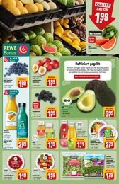 REWE Falafel im Prospekt 
