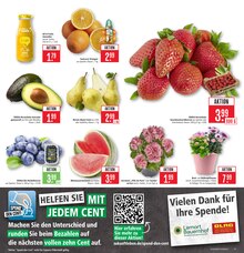 Geranien im Marktkauf Prospekt "Aktuelle Angebote" mit 53 Seiten (Reutlingen)