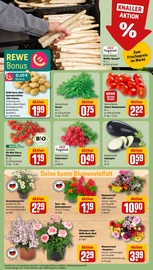 Ähnliche Buchsbaum Angebote im Prospekt "Dein Markt" von REWE in Osnabrück Ähnliche Angebote wie Buchsbaum im Prospekt "Dein Markt" auf Seite 7 von REWE in Osnabrück