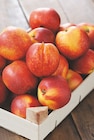 Nectarine blanche et/ou jaune - Intermarché à Clermont-Ferrand Nectarine blanche et/ou jaune en promo chez Intermarché Clermont-Ferrand à 2,95 €