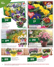 Offre Jardinière dans le catalogue Carrefour du moment à la page 6