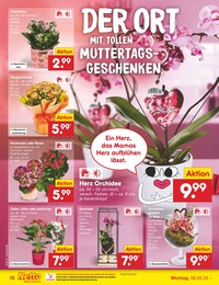 Blumen Angebot im aktuellen Netto Marken-Discount Prospekt auf Seite 26