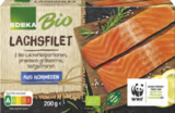 Aktuelle Lachs Angebote bei EDEKA in Ingolstadt Aktuelles Lachsfilet Angebot bei EDEKA in Ingolstadt ab 5,55 €