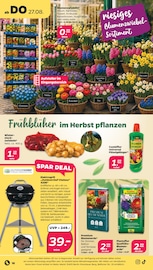Dünger im Netto mit dem Scottie Prospekt in Neumünster Aktueller Netto mit dem Scottie Prospekt mit Dünger, "Günstig. Besser. Für Dich.", Seite 18