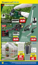 Lidl Blumentopf im Prospekt Lidl Blumentopf im Prospekt