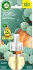 Lufterfrischer Duftstecker Eukalyptus & Zedernholz Nachfüllpack von AIR WICK im aktuellen dm-drogerie markt Prospekt