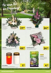 Aktueller Hagebaumarkt Prospekt mit Grablicht, "VERSCHÖNERE MIT UNS DEINEN GARTEN", Seite 14