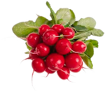 EDEKA Grömitz Prospekt mit  im Angebot für 0,79 €