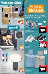 Led-Leuchten Angebot im aktuellen REWE Prospekt auf Seite 33