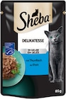 Nassfutter für Katzen im DAS FUTTERHAUS Prospekt Nassfutter für Katzen von Sheba im aktuellen DAS FUTTERHAUS Prospekt für 0,49 €