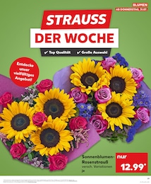 Kaufland Sträucher im Prospekt 