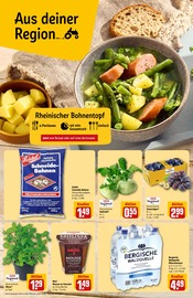 Ähnliche Blumenzwiebeln Angebote im Prospekt "Dein Markt" von REWE in Erkelenz Ähnliche Angebote wie Blumenzwiebeln im Prospekt "Dein Markt" auf Seite 4 von REWE in Erkelenz