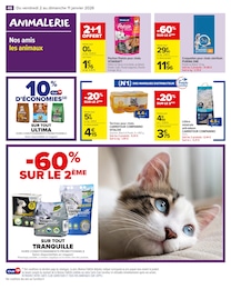 Offre Alimentation Chat dans le catalogue Carrefour Market du moment à la page 48