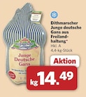 Junge Deutsche Gans Angebote von Dithmarscher Geflügel bei combi Osnabrück für 14,49 €