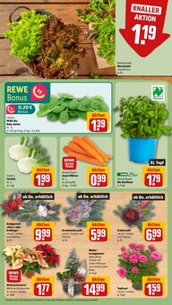 Gemüse im aktuellen REWE Prospekt (Halle (Saale)) Gemüse im REWE Prospekt "Dein Markt" mit 22 Seiten (Halle (Saale))