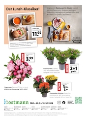 Fertiggerichte im Blumen Ostmann Prospekt in Bremen Aktueller Blumen Ostmann Prospekt mit Fertiggerichte, "Ein Sommer voller Blumen", Seite 8