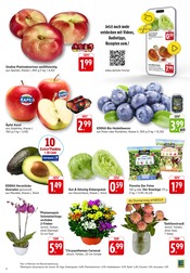 Äpfel im E center Prospekt in Offenburg Aktueller E center Prospekt mit Äpfel, "Aktuelle Angebote", Seite 3