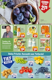 REWE Pflaumen im Prospekt 