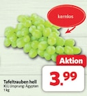 Tafeltrauben hell im Angebot bei Markant Nordwest in Hannover Tafeltrauben hell Angebote bei Markant Nordwest Hannover für 3,99 €
