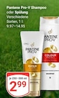 Pro-V Shampoo im Angebot bei GLOBUS in Oberursel Pro-V Shampoo Angebote von Pantene bei GLOBUS Oberursel für 2,99 €