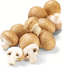 Angebot im Netto Marken-Discount Groß Gerau Prospekt Netto Marken-Discount Groß Gerau Prospekt mit  im Angebot für 1,29 €