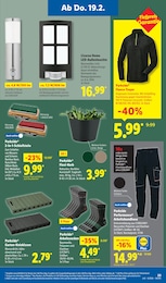 Lampe Angebot im aktuellen Lidl Prospekt auf Seite 45
