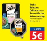 Selection, Delikatesse oder Sauce Collection Katzennahrung bei famila Nordost im Prospekt "" für 5,00 €