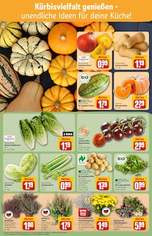 Sellerie im REWE Prospekt "Dein Markt" mit 32 Seiten (Berlin)
