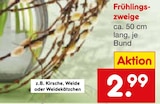 Frühlingszweige im aktuellen Netto Marken-Discount Prospekt für 2,99 €
