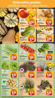 Blumen im REWE Prospekt "Dein Markt" mit 29 Seiten (Bottrop)