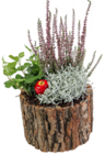 Kaufland Büttelborn - Bepflanztes Holzgefäß Angebot im Prospekt Bepflanztes Holzgefäß bei Kaufland im Büttelborn Prospekt für 9,99 €