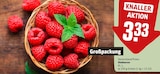 Himbeeren im REWE Prospekt Himbeeren von im aktuellen REWE Prospekt für 3,33 €