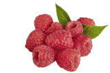 EDEKA - Himbeeren Angebot im Prospekt Himbeeren bei EDEKA im Prospekt "" für 1,29 €