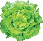 Promo Laitue à 1,00 € dans le catalogue Supermarchés Match à Soultz-sous-Forêts