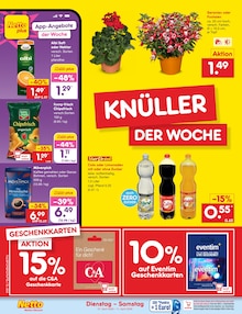 Saft im Netto Marken-Discount Prospekt "Aktuelle Angebote" mit 63 Seiten (Dresden)