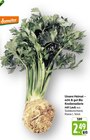 Unsere Heimat – echt & gut Bio Knollensellerie mit Laub bei E center im Ditzingen Prospekt für 2,49 €